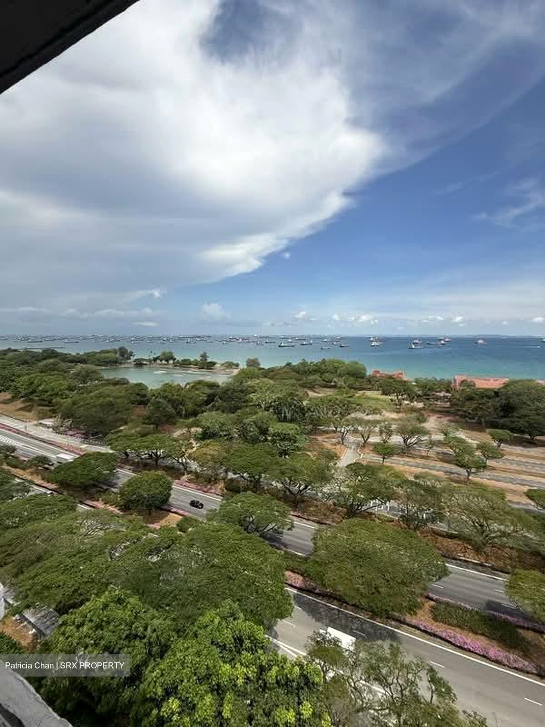 Laguna Park (D15), Apartment #551214891